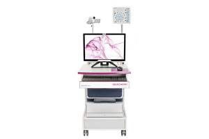 Sigma-NeuroWerk